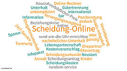 Eventuell sollten Sie die Online-Scheidung in Betracht ziehen.